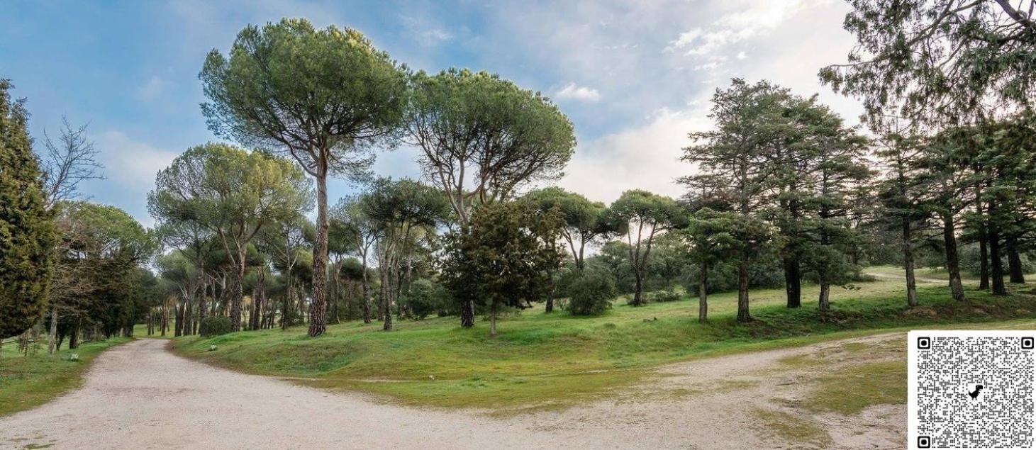 Apartamento Las Rozas Centro Con Parking Incluido Eksteriør bilde